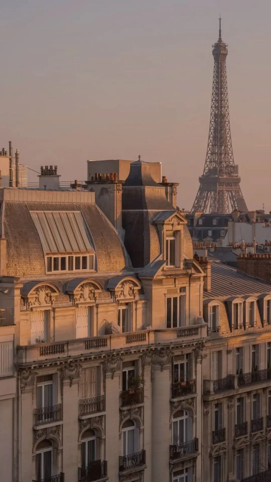 Paris — Butlerista
